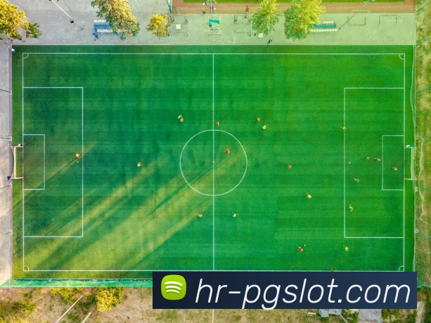 赏金女王官网发展历程